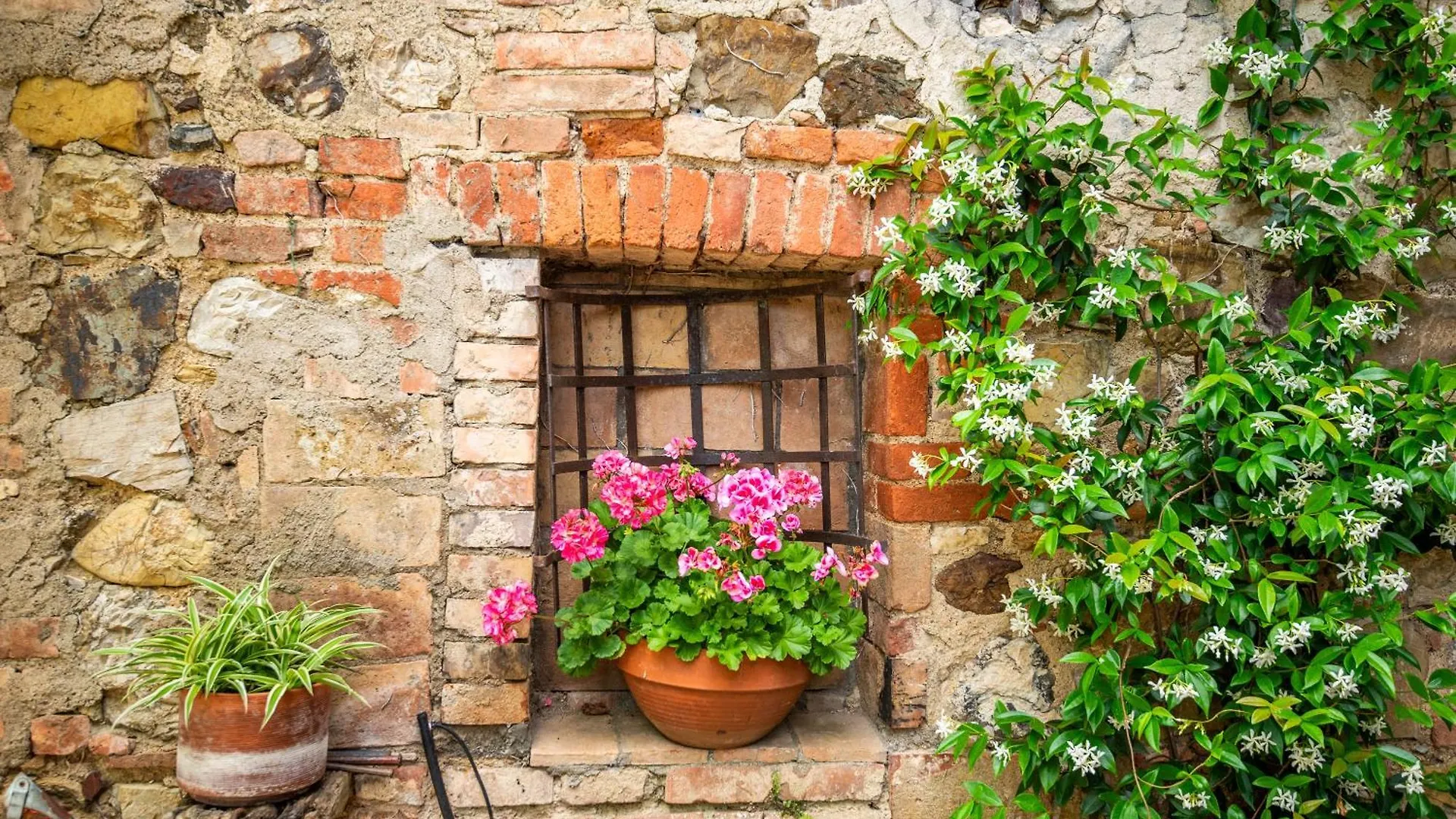 Casa Rosa A Murlo Apartment Italy